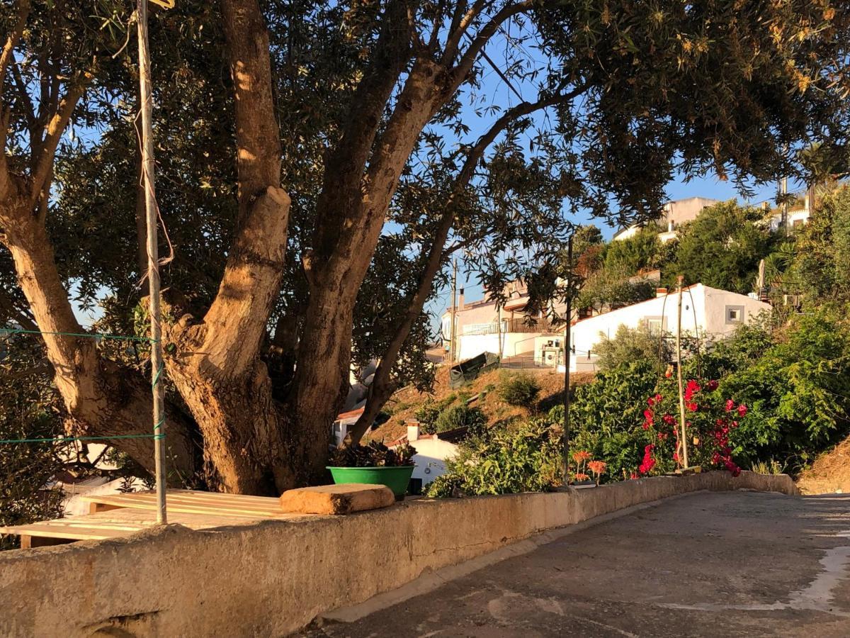 فيلا Casa Anneli - Relaxing Under The Olive Tree ألخيزور المظهر الخارجي الصورة