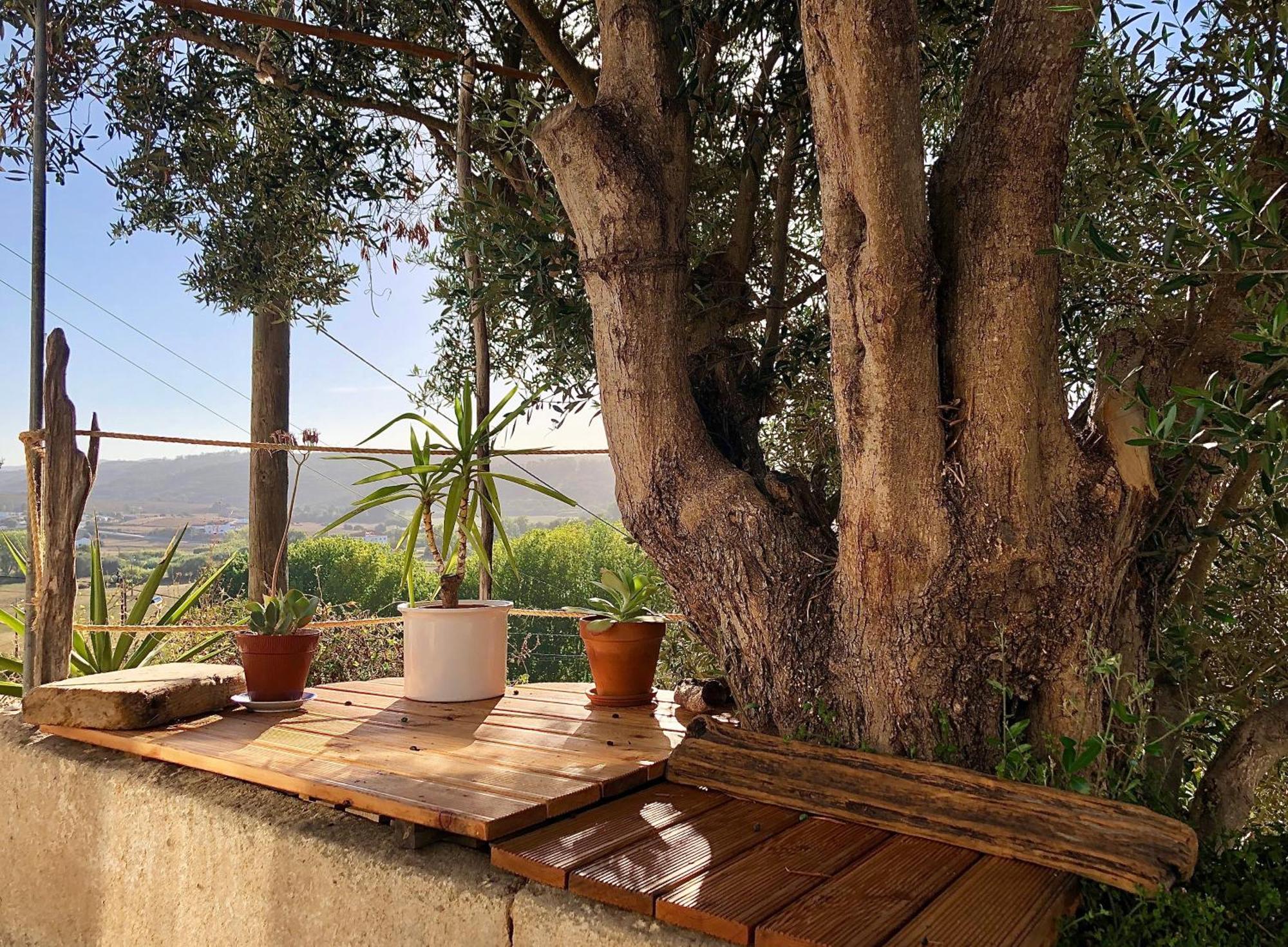 فيلا Casa Anneli - Relaxing Under The Olive Tree ألخيزور المظهر الخارجي الصورة